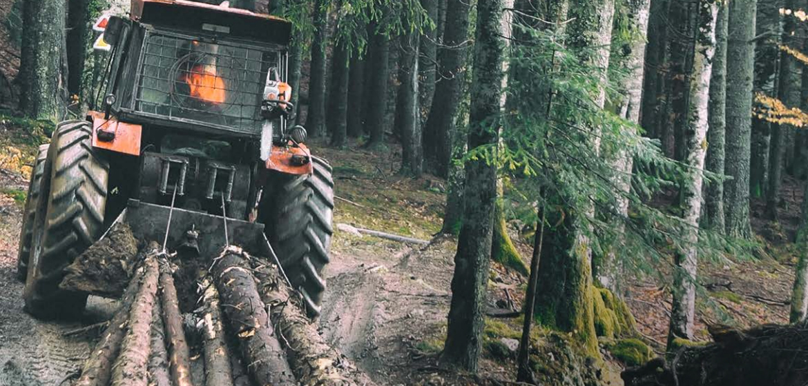 Forestry & Logging Swagged Wire Ropes | DruForest