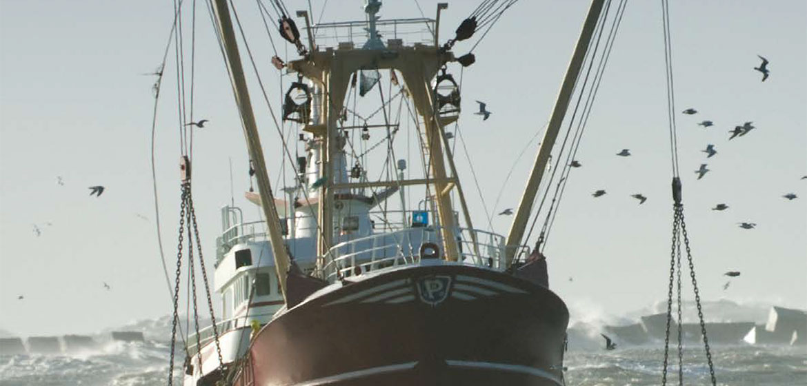 DruSea Fishing & Marine | Specialty Wire Ropes
